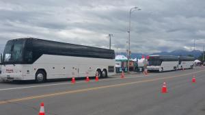 buses